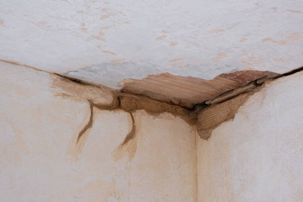 Best Crawl Space Water Damage Solutions in USA